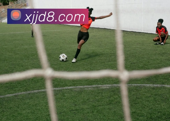 Ng大舞台发展历程